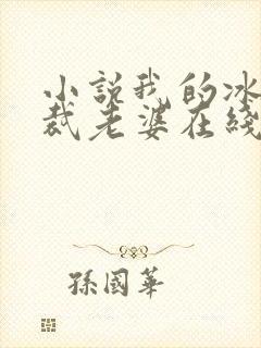 小说我的冰山总裁老婆在线阅读