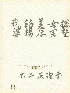 我的美女总裁老婆杨辰完整封面