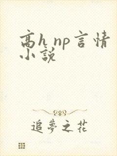 高h np言情小说