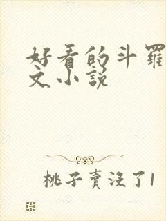 好看的斗罗同人文小说