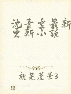 沈青云最新章节更新小说