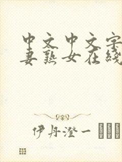 中文中文字幕人妻熟女在线