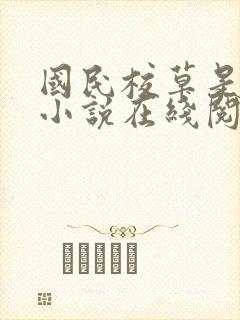 国民校草是女生小说在线阅读封面