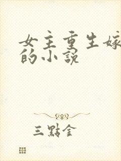 女主重生嫁皇上的小说封面