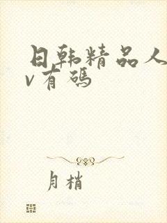 日韩精品人妻av有码