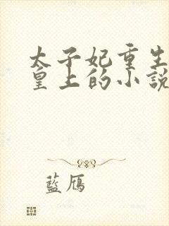 太子妃重生嫁给皇上的小说封面