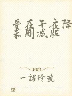 爱在午夜降临前未删减版