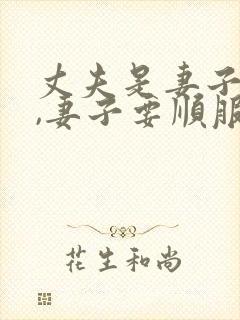 丈夫是妻子的头,妻子要顺服丈夫