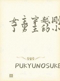 女主穿越刚好救了男主的小说封面