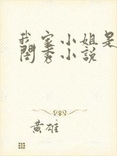 我家小姐是旧式闺秀小说