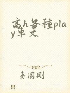 高h各种play车文