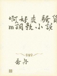 啊好爽 骚货sm调教小说