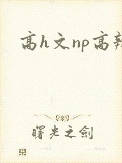高h文np高辣