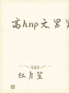 高hnp文男男
