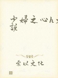 少妇之心h文小说