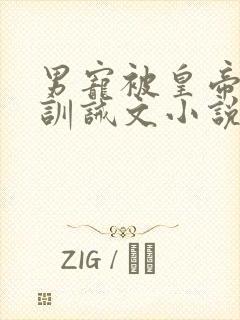 男宠被皇帝挨打训诫文小说封面