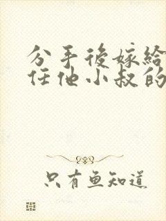 分手后嫁给了前任他小叔的小说暮色酒歌封面