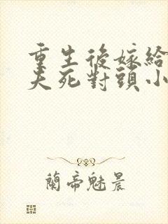 重生后嫁给了前夫死对头小说在线看