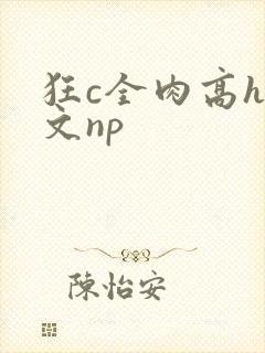狂c全肉高h辣文np