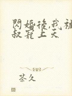 闪婚后,我被大叔宠上天