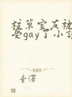 校草室友被清冷受gay了小说