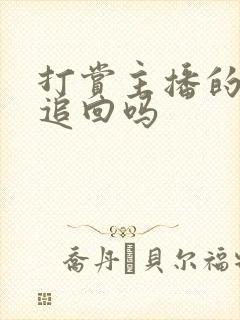 打赏主播的钱能追回吗