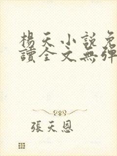 杨天小说免费阅读全文无弹窗