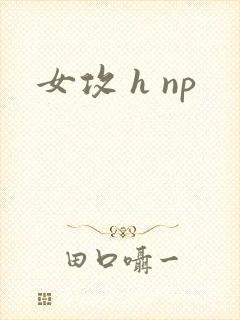 女攻 h np