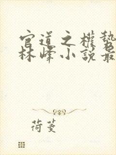 官道之权势滔天林峰小说最新章节免费阅读封面