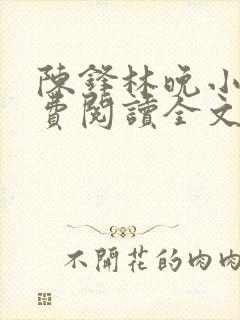 陈锋林晚小说免费阅读全文最新章节封面