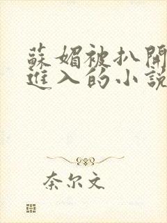 苏媚被扒开双腿进入的小说