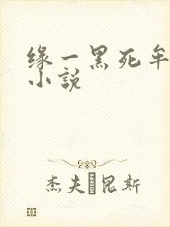 缘一黑死牟cp小说
