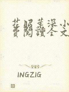 花昭叶深小说免费阅读全文