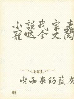 小说我家老公超宠哒全文阅读