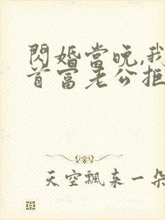 闪婚当晚,我将首富老公拒之门外 小说