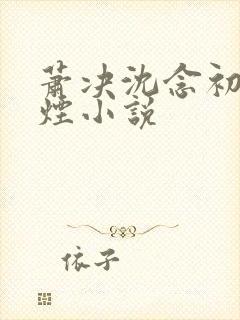 萧决沈念初柳如烟小说