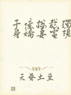 千亿总裁独宠替身娇妻电视剧封面