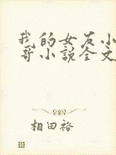 我的女友小琪刘哥小说全文阅读