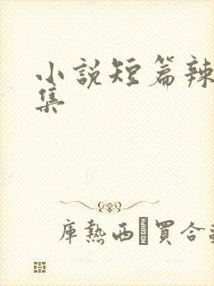 小说短篇辣文合集