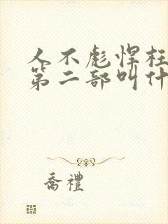 人不彪悍枉少年第二部叫什么名字