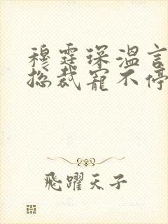 穆霆琛温言深情总裁宠不停封面