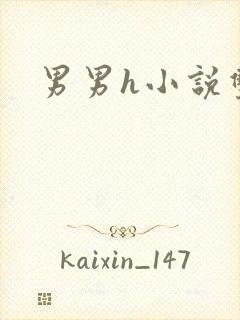 男男h小说双性