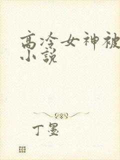 高冷女神被调教小说