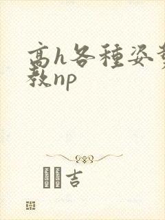 高h各种姿势调教np