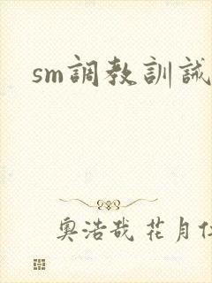 sm调教训诫文封面
