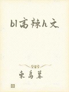 bl高辣h文