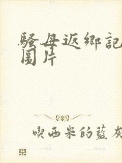 骚母返乡记原文图片