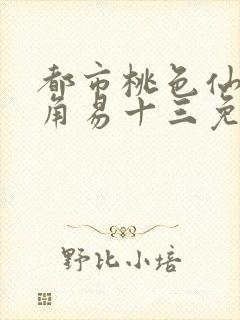 都市桃色仙医主角易十三免费阅读