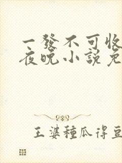 一发不可收拾的夜晚小说免费