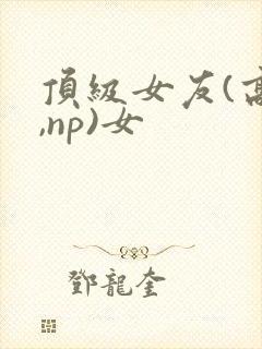 顶级女友(高h,np)女